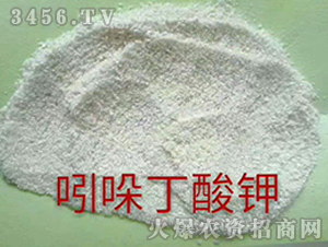 ���ᶡ���-�������