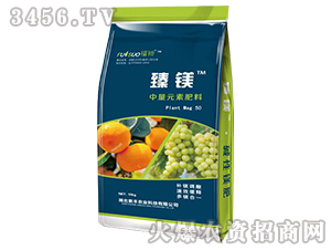 ����Ԫ�ط���-���V-���S�r�I(y��)