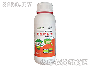 ���������-ِ���S