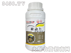 �������焩-����(d��ng)��-ِ���S