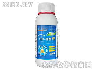 ���a(b��)-�Ǵ��-ِ���S