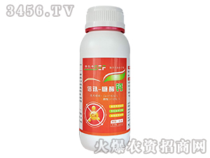 ���a(b��)-�Ǵ��}-ِ���S