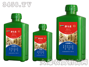 �󽪌��ð���������Һ�ķ�-Ħ����-��(qi��ng)о