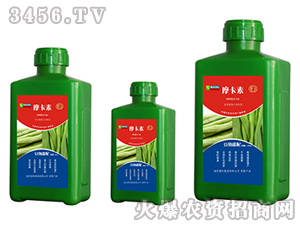 ���ǌ��ð���������Һ�ķ�-Ħ����-��(qi��ng)о