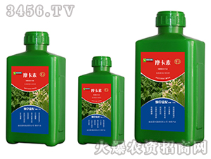 ���݌�(zhu��n)�ð���������Һ�ķ�-Ħ����-��(qi��ng)о