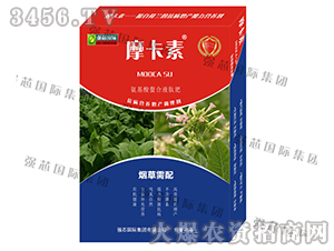 ���݌�(zhu��n)�ð���������Һ�ķ�-Ħ����