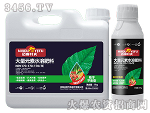 �Ҹ�ƽ���ʹ���Ԫ��ˮ�ܷ���170-170-170+TE-�~���~��