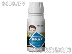 ˪������-��������-̩����H