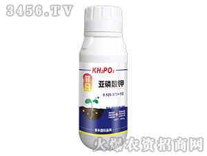 �������0-520-370+TE-�Ʒ�-̩����H