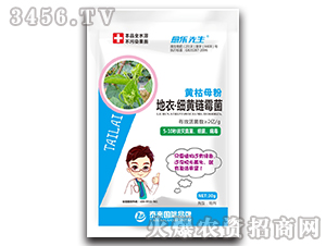 �S��ĸ�۵��¡����S�ù��-��������-̩����H