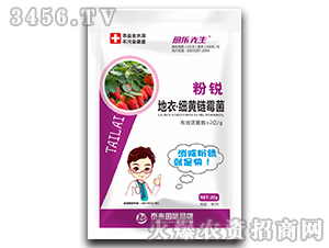 ���J���¡���(x��)�S�ù��-����(l��)����-̩��(l��i)��(gu��)�H