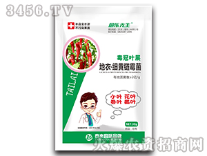 �����~չ���¡���(x��)�S�ù��-����(l��)����-̩��(l��i)��(gu��)�H