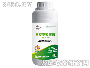 �����������~-�W�R˹