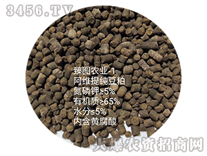 ���S�ἃ����-ʩ����