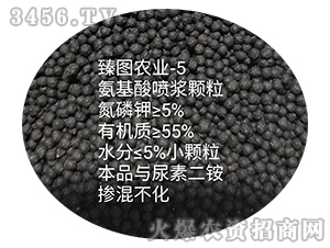 �����ᇊ�{�w��-ʩ����