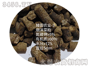 ��ĭ����-ʩ����