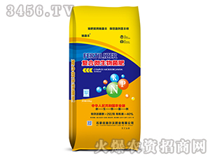 2�|�ͺ�΢�������-ʩӯ�S-ʩ����