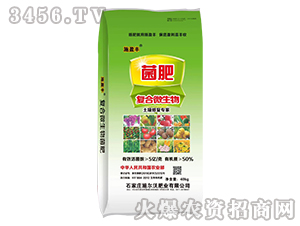 5�|�ͺ�΢�������-ʩӯ�S-ʩ����