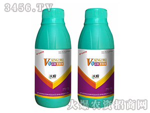 ���L��(y��u)��(j��)��-���L