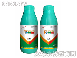 �~���׻�����-���L