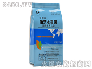 ����ľù��-������-����r(n��ng)�I(y��)