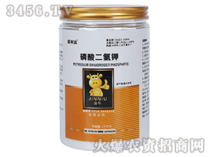 1000g��������-�Z���_(d��)