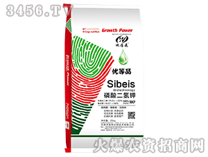 �������⛣���(y��u)��Ʒ��-ʩ��ɭ-��ɭ��