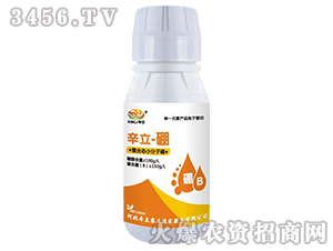 ���ϑB(t��i)С������-����