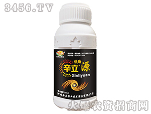 ̼ø����Դ-����