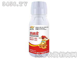 ����˪-����