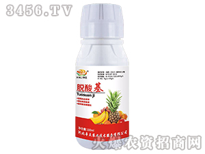 Ó���-����