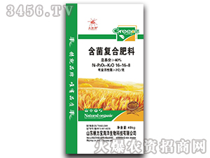 �����ͺϷ���-��֩��-������