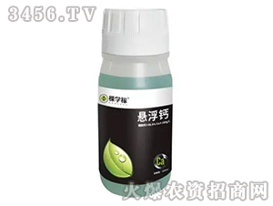 ��һԪ�ط�-�Ҹ��}-�ÌW(xu��)��