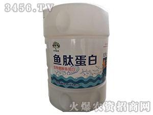 ��������~����-�~�ĵ���-�T��ӯ֦