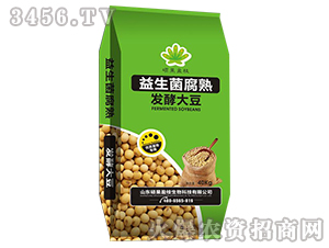 ����������l(f��)�ʹ󶹣��G��-�T��ӯ֦