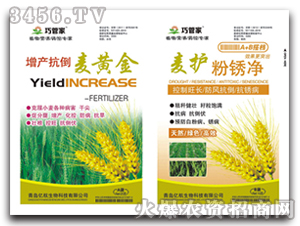 ���a(ch��n)�������S��+���o���P��-�|��