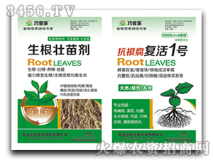 �������焩+�������ͻ�1̖-�|��