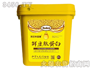 �r���ĵ���-����������