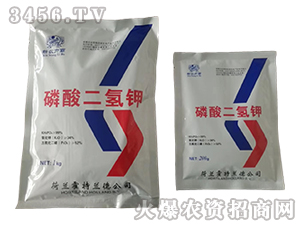 ��������-���r����-���𻯹�