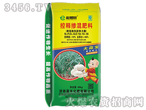 ��ጓ������-����Ȫ-�κ�