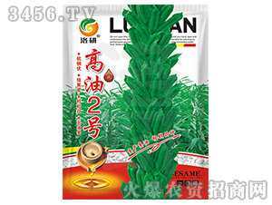 ֥��N��-����2̖-����