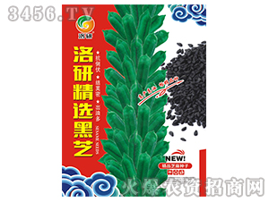 ֥��N��-���о��x��֥-����