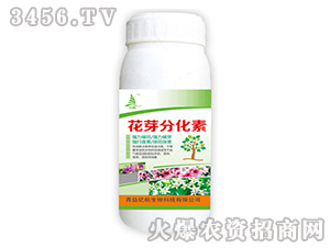 ��ѿ�ֻ���-�|��