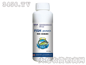 500g���塤С���~����-��˹�m��