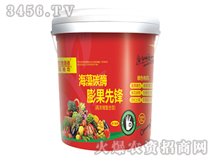 ����̼ø������h-�ǵ�ʩ��-��˹�m��