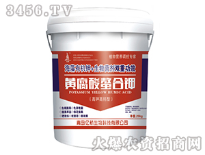 ��⛸��}���S���������-�|��