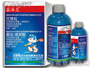 �o�~���݄�-�{���`-�Ϸ�����