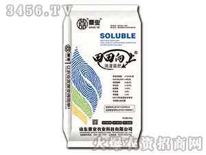 �ι����-��������-���I(y��)