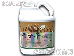 �����ǻ��-����ţ-�����S