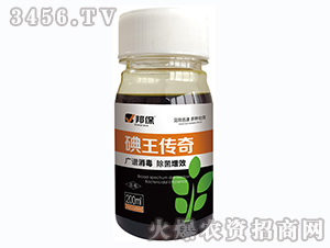 ��������-�����